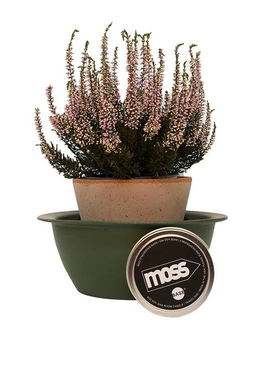 MOSS  6oz Room Candle